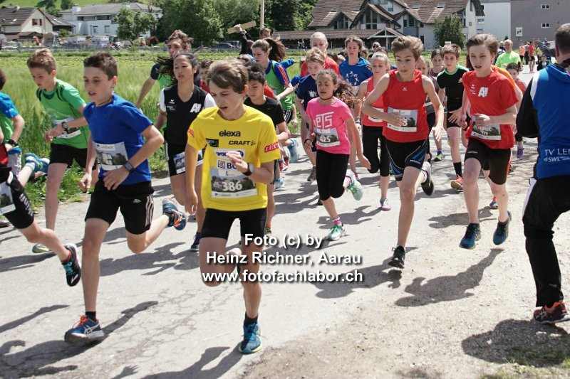 7134 lenzburg.jpg